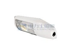 電力士供應高光效、無頻閃、損耗低、恒功率路燈無極燈-- 無極燈廠家—廣東電力士科技照明有限公司