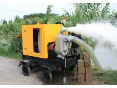 供應(yīng)上海廠家直銷大型柴油水泵|柴油機自吸泵|柴油移動防汛水泵-- 上海茁柴發(fā)電機有限公司發(fā)電機事業(yè)部