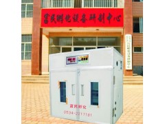 供應德州富民孵化機 孵化設備-- 德州市德城區富民孵化設備研制中心