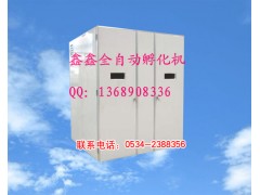 德州火雞孵化機鑫鑫全自動孵化機www.xinxinfuhua.com-- 山東鑫鑫孵化設(shè)備廠