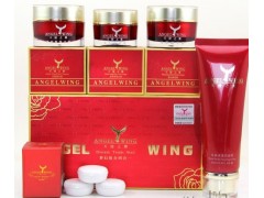 天使之翼夢紀(jì)套裝，小盒裝天使之翼4件套，全國貨到付款-- 廣西南寧市護(hù)膚精品化妝品公司銷售部