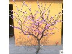 仿真桃花樹(shù)新年桃花樹(shù)仿真櫻花樹(shù)影樓道具-- 上海艾維福勞園藝有限公司