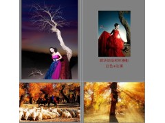 額濟納胡楊林戶外旅游攝影團,露營篝火?？妥顚I-- 安徽?？屯卣古嘤柗沼邢薰? class=