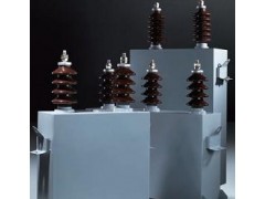 魯鋼電力電容器高壓并聯(lián)電容器BFM11-150-3W-- 樂清市魯鋼電容器有限公司