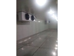 格美制冷設(shè)備專業(yè)批發(fā)各種冷凍庫-- 東莞市格美制冷設(shè)備有限公司