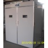 四川潤德孵化機(jī) 全自動(dòng)大型孵化機(jī)