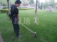 石家莊哪里有做電動(dòng)割草機(jī),價(jià)格多少?-- 石家莊綠華機(jī)械科技有限公司