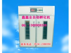 小雞孵化機鑫鑫廣東孵化機汕頭孵化機www.xinxinfuhua.com-- 山東鑫鑫孵化設備廠