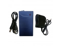 供應深圳12V鋰電池 5V鋰電池 大容量鋰電池3800mah  帶充電器-- 深圳利賽安防銷售部