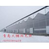 青島 溫室大棚專用陽(yáng)光板