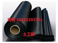 哪里有做藕池膜價(jià)格多少?-- 山東恒瑞通新材料工程有限公司銷售部