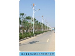 風(fēng)光互補路燈，風(fēng)光互補系統(tǒng)，垂直軸，磁懸浮，300W小型風(fēng)力發(fā)電機-- 深圳市泰瑪風(fēng)光能源科技有限公司