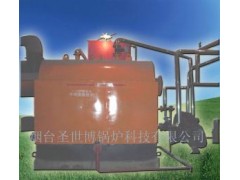 天津燃煤熱水鍋爐-- 煙臺(tái)圣世博鍋爐科技有限公司