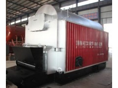 2噸燃煤鍋爐工廠 2噸蒸汽鍋爐價(jià)格-- 河南遠(yuǎn)大鍋爐有限公司