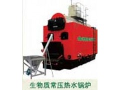 沈陽生物質(zhì)鍋爐-- 南京遠(yuǎn)大環(huán)境工程有限公司