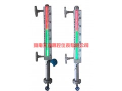 TR- CDS-6  新型磁敏電子雙色液位計(jì)-- 河南天潤測(cè)控有限公司