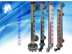 外接磁翻板液位計(jì)-- 河南天潤測(cè)控儀表有限公司