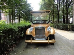 長(zhǎng)沙豪華商務(wù)老爺車-- 豐日福悅電動(dòng)車有限公司