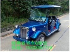 5座豪華電動(dòng)巡邏車-- 湖南大豐合電動(dòng)車業(yè)有限公司