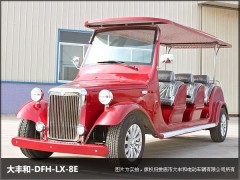 山東省（魯）8座電動(dòng)老爺車江西省（贛）6座電動(dòng)老爺車-- 湖南大豐合電動(dòng)車業(yè)有限公司