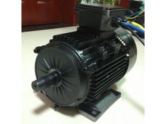 直流無刷、牽引電機-- 常州永沛機電技術有限公司