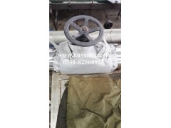 常德湘潭閥門保溫套|閥門隔熱套|可脫卸保溫套|哪家專業-- 湖南威耐斯新材料科技有限公司