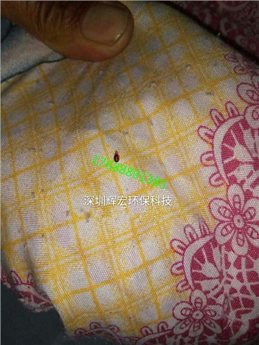 寶安殺臭蟲公司 寶安滅臭蟲公司 寶安除臭蟲公司 輝宏供-- 深圳市輝宏環(huán)保科技有限公司