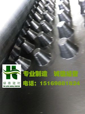 四川2公分車庫(kù)排水板