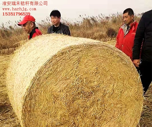 宿遷稻草秸稈加工價(jià)格 宿遷稻草秸稈打包費(fèi)用 瑞禾供-- 淮安瑞禾秸稈有限公司