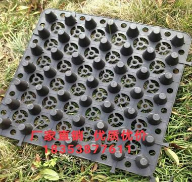 5公分植草格衢州車庫(kù)黑色達(dá)標(biāo)排水板-- 泰安市澤瑞蓄排水土工材料有限公司