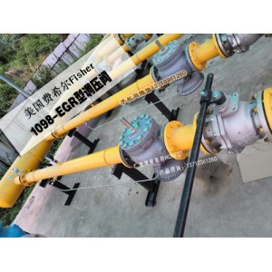 1098-EGR/6351穩(wěn)壓閥，1098備件包109