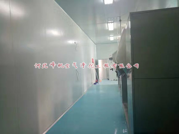 河北十萬級(jí)凈化車間食品廠房電子廠房制藥廠潔凈施工-- 河北峰帆空氣凈化工程有限公司