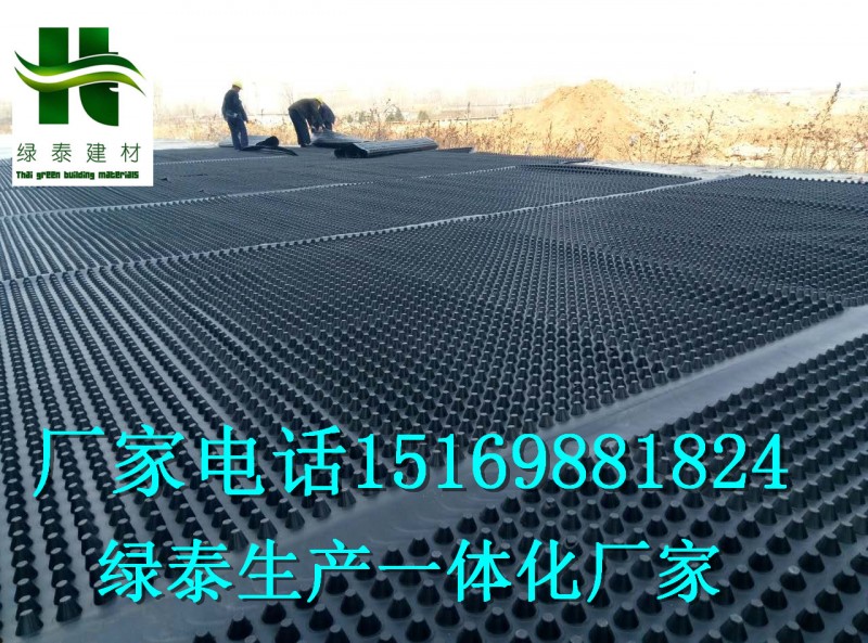 邯鄲20高車庫(kù)濾水板\保定2.5公分蓄排水板\注塑生產(chǎn)-- 泰安市澤瑞土工材料有限公司