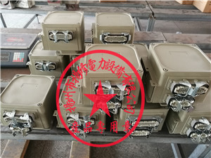 揚修執(zhí)行器控制單元型號2SA3(LK3）/MU/MD等規(guī)格-- 揚州市揚修電力設備有限公司