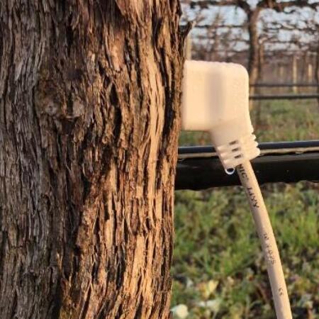 HPV 莖流量傳感器/Sap Flow Sensor-- 河南長澤生態(tài)科技有限公司