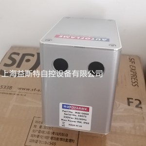 AUTOFLAME伺服電機(jī)執(zhí)行器MM10004