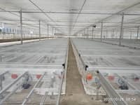 北京愛耕農業(yè)設施有限公司生產物流苗床-- 北京愛耕農業(yè)設施有限公司