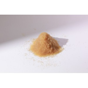 吸金GS300強(qiáng)堿性樹脂原裝進(jìn)口杜蒽