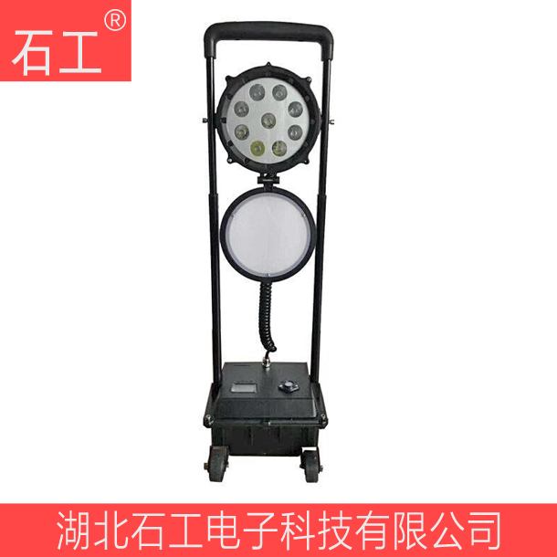燈具_防爆強光工作燈_SW2601_深圳尚為