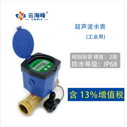 CWIS86系列——超聲波工業(yè)用電子智能螺紋立式脈-- 海峰智慧物聯(lián)科技（西安）有限公司